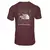 Imagem do Camisa Masculina The North Face Trailblaze Preta Estilosa