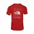 Camisa Masculina The North Face Trailblaze Preta Estilosa - Nexshope