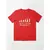 Camisa Bitcoin Evolution Of Money - comprar online