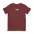 Camisa Masculina The North Face AlpineQuest Preto Avventure - Nexshope