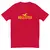 Camiseta Masculina Hollister - comprar online