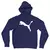 Blusa Moletom Puma Com Capuz Premium - loja online