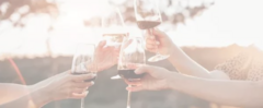 Banner de la categoría Bebidas-Bodega Viñas de Balbo