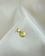 PINGENTE PGD1020 PCT com 10