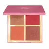 Palette Multifuncional Cor 02 Niina Secrets Luminous 12g