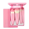 Kit De 5 Mini Pincéis Para Maquiagem com Estojo de Espelho