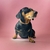 Colar para cães Pequeno Porte em Couro Legítimo - comprar online