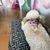 Colar Personalizado para cães de Pequeno Porte com Bandana