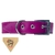 Colar Personalizado com Bandana para Grande Porte - loja online