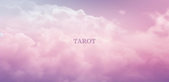 Banner de la categoría Productos