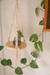 Suporte de Vasos Flora - comprar online
