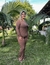 Imagem do Conjunto Safira