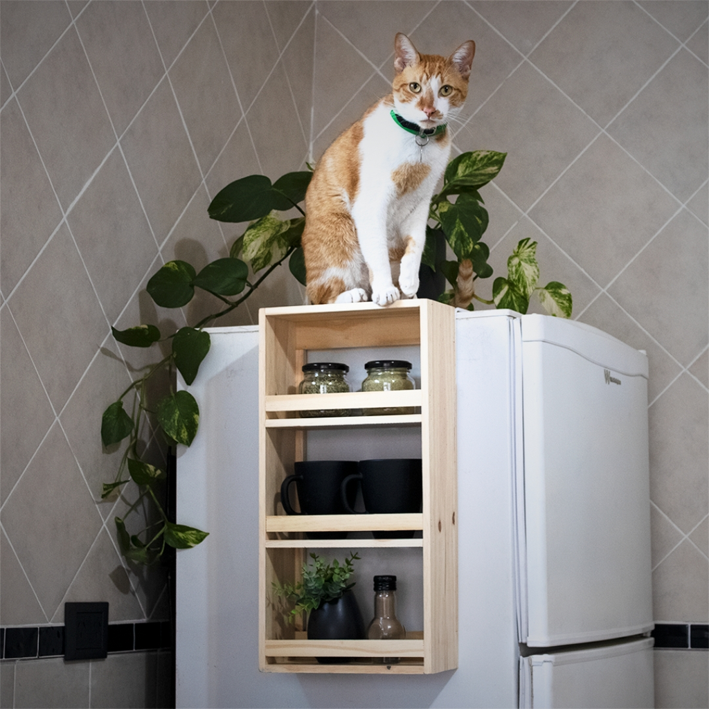 Estante Lateral de Heladera Magnético 25x50