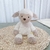 Pelúcia Soninho Infantil Luxo Antialérgico Ovelha