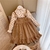Vestido festa infantil luxo temático Urso