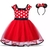 Vestido Temático Infantil Minnie bebê fantasia Minnie com arco - loja online