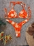 Conjunto De Biquíni - Calcinha Asa Delta Fio Dental Top Cortininha Com Bojo - Vila Beach Wear - Maiô e Biquíni Feminino Verão 2025