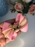 Laço Camadas Urso