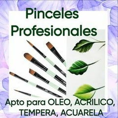 Pincel Profesional Artístico