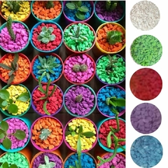 Piedritas decorativas P/Maceta