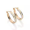 BRINCO ARGOLA TRABALHADA COM APLIQUE DE RHODIUM -523921