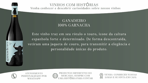 Carrossel 1