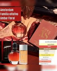 EDP Ámsterdam - comprar online