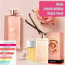 EDP Reine - +25% off - comprar online