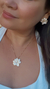 Conjunto Solar na internet
