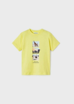 Set 2 playeras manga corta de algodón sostenible para niño en internet