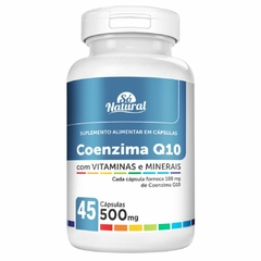 Coenzima Q10 + Magnésio Dimalato Só Natural - comprar online