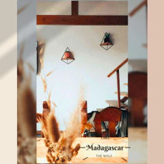 Repipsas piramidales - Línea Madagascar