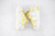 nike-dunk-low-x-off-white-lot-2950