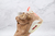 travis-scott-x-air-jordan-6-british-khaki