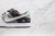 nike-sb-dunk-low-camcorder