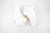 air-jordan-6-gold-hoops