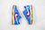 undefeated-x-nike-dunk-low-5-on-it