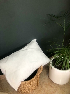 RELLENO ALMOHADON 70 X 50 en internet