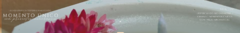 Banner da categoria VELAS AROMÁTICAS- Desperte sensações 