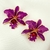 Brinco Orquídea Esmaltada - comprar online