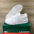 LACOSTE LINESHOT