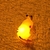 Pokémon Night Light - comprar online