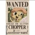 Poster Premium One Piece na internet
