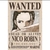 Poster Premium One Piece na internet