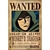 Poster Premium One Piece - comprar online