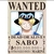 Poster Premium One Piece