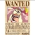 Imagem do Poster Premium One Piece