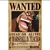 Poster Premium One Piece - CZ Store