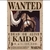 Poster Premium One Piece na internet