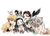 Poster Demon Slayer - loja online